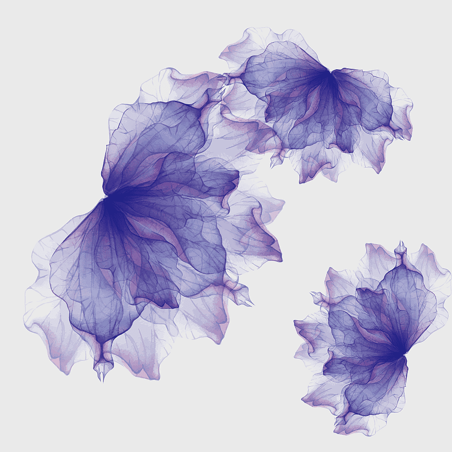 purple watercolor flowers, lavender floral illustration, violet petal design, cosmetics floral background, dreamy floral art, romantic botanical illustration, floral skincare product visuals