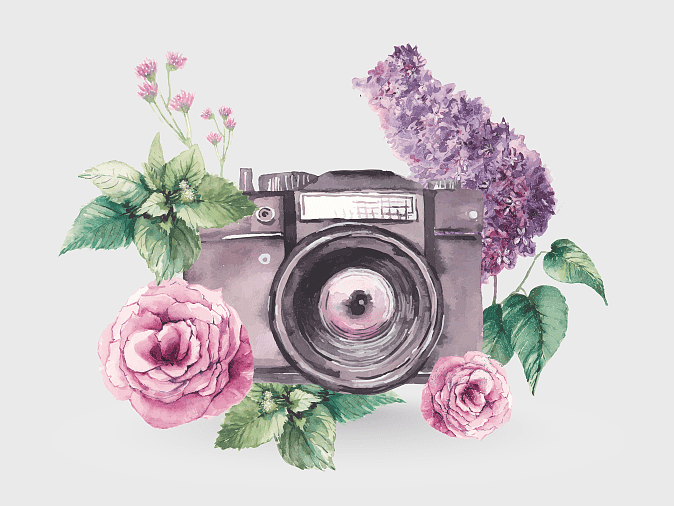 watercolor camera illustration, purple floral design, vintage camera art, hand-drawn rose logo, botanical graphy tools, artistic camera decor, floral camera artwork