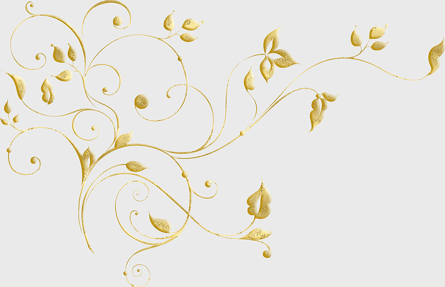 gold vine illustration, white and gold ornamental design, gold lace pattern border, elegant plant motif, decorative floral swirls, intricate vine art, vintage botanical embellishment gold vine illustration, white and gold ornamental design, gold lace pattern border, elegant plant motif, decorative floral swirls, intricate vine art, vintage botanical embellishment