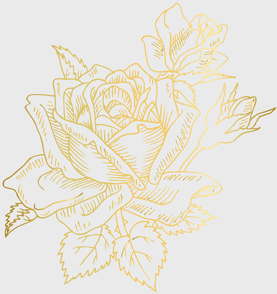 gold rose illustration, floral design elements, cut flower art, gold deco rose, botanical line art, decorative floral patterns, vintage flower drawings gold rose illustration, floral design elements, cut flower art, gold deco rose, botanical line art, decorative floral patterns, vintage flower drawings
