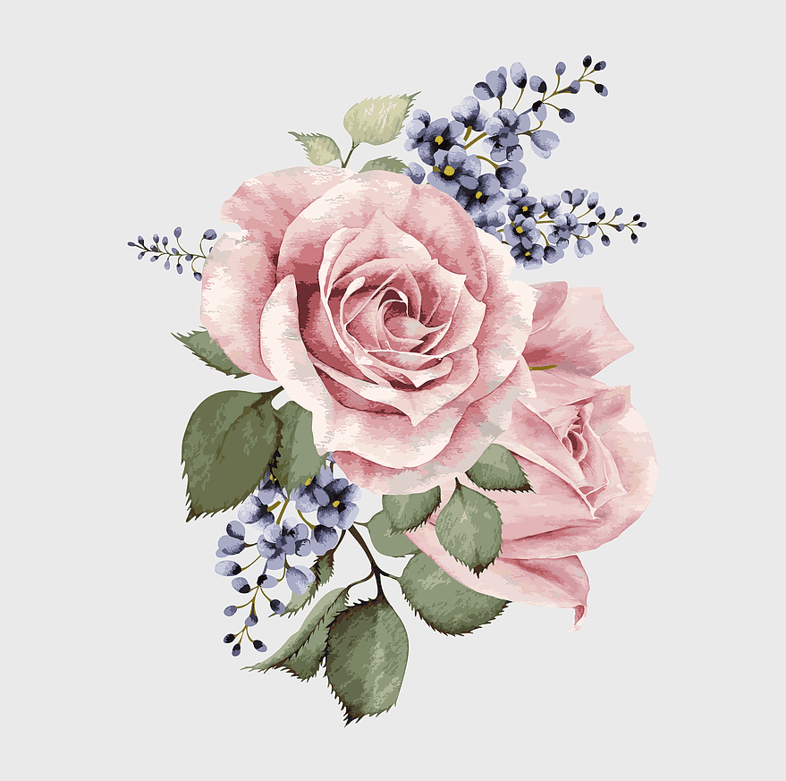 watercolor pink roses, hand-painted floral design, centifolia rose illustration, cut flower arrangement, botanical watercolor art, floral bouquet painting, garden rose floral pattern, decorative rose illustration