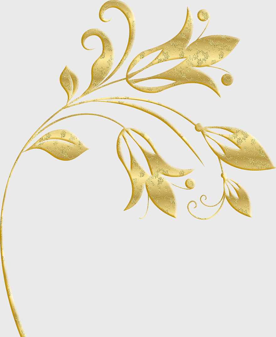 gold plant pattern, gold lace, flower illustration, gold frame, elegant floral design, decorative botanical art, vintage gold ornament gold plant pattern, gold lace, flower illustration, gold frame, elegant floral design, decorative botanical art, vintage gold ornament