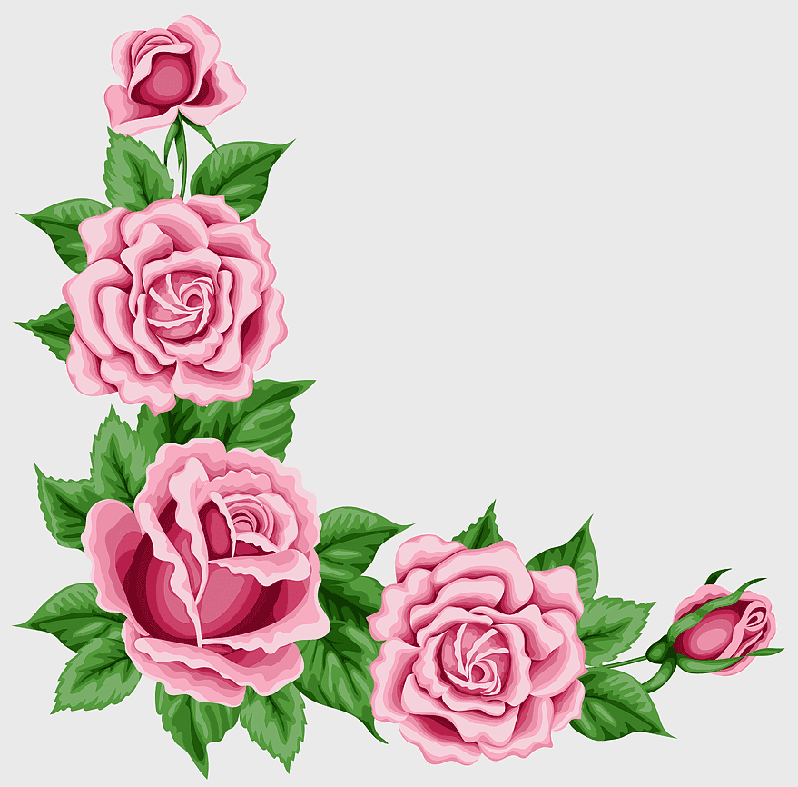 Vintage roses for home, beautiful garden varieties, rosa centifolia pink, rose corner plants, floral corner decor, elegant rose arrangements, classic rose illustrations