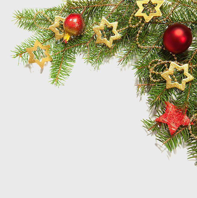 Christmas tree branch decoration, golden pentagram ornaments, red ball ornaments, festive holiday decor, evergreen spruce branch, seasonal star decorations, Christmas garland accents