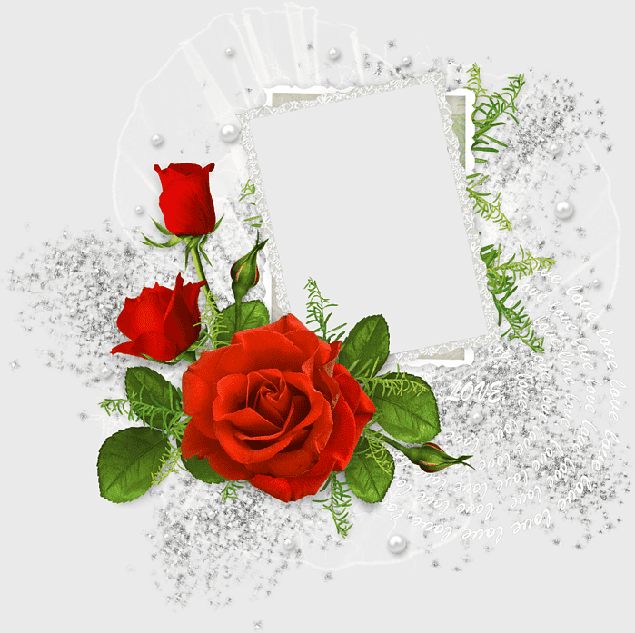 red rose wedding frame, lace border floral design, digital scrapbooking frames, love-themed invitation, elegant floral arrangements, romantic garden roses, vintage wedding decor