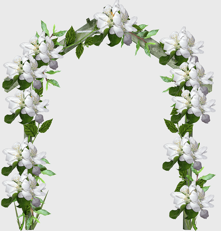 white flower arch illustration, floral arch design, ancient architecture with flowers, watercolor flower vine, botanical garden arch, floral arbor decoration, vintage floral frame