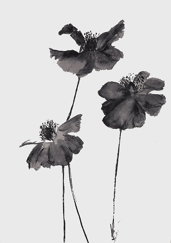 black ink flowers, watercolor black flowers, black decorated flowers, black ink floral art, monochrome floral painting, minimalist black flower art, abstract black ink blooms black ink flowers, watercolor black flowers, black decorated flowers, black ink floral art, monochrome floral painting, minimalist black flower art, abstract black ink blooms