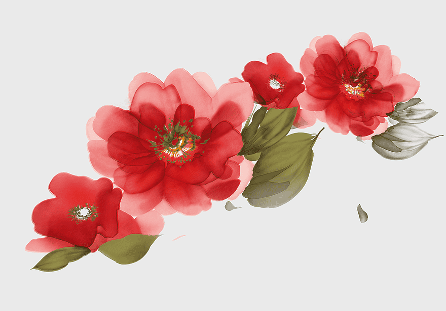 red watercolor flowers, floral design pattern, hand-painted red blossoms, decorative flower arrangement, artistic floral elements, elegant red petals, botanical watercolor art