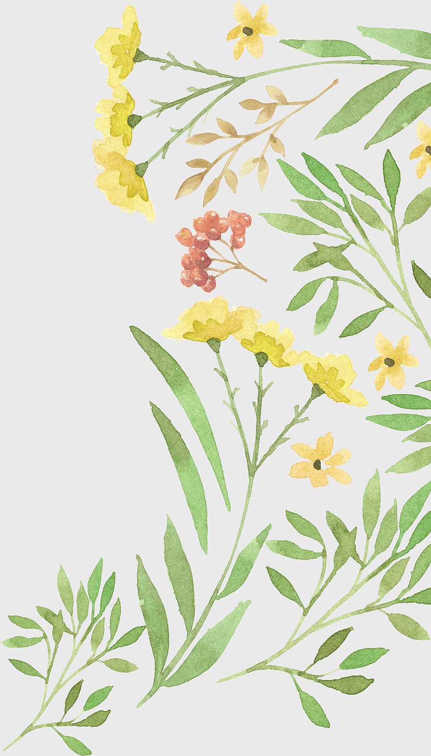 yellow petaled flowers illustration, floral decoration watercolor, vintage floral design, wedding invitation flowers, botanical art print, hand-painted floral elements, greenery and blooms arrangement yellow petaled flowers illustration, floral decoration watercolor, vintage floral design, wedding invitation flowers, botanical art print, hand-painted floral elements, greenery and blooms arrangement