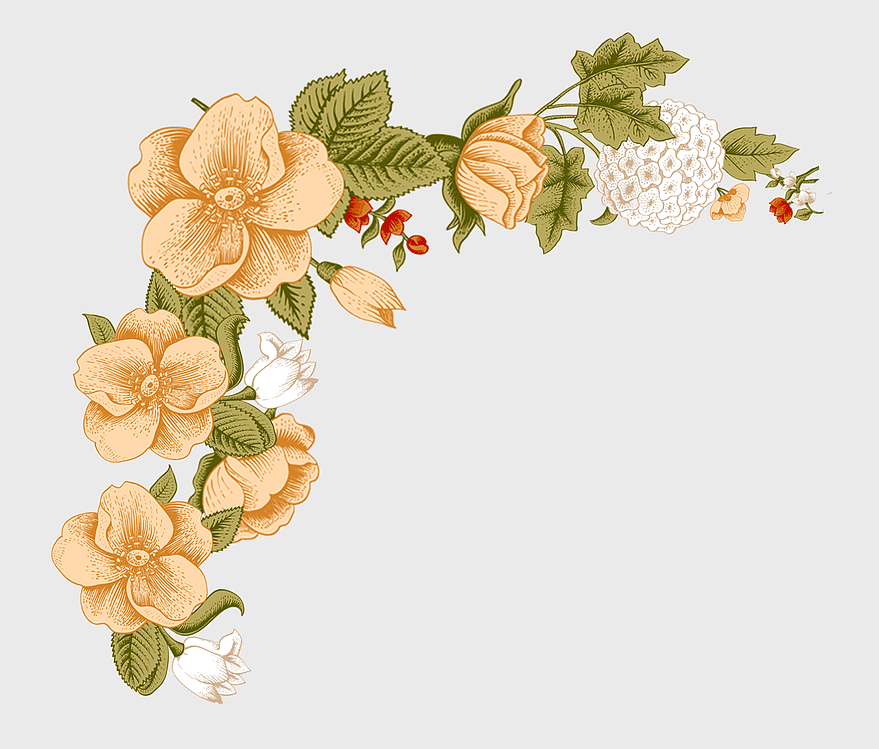 brown floral illustration, small fresh flower borders, peach petal design, decorative floral patterns, vintage botanical art, elegant floral arrangement, delicate flower illustration brown floral illustration, small fresh flower borders, peach petal design, decorative floral patterns, vintage botanical art, elegant floral arrangement, delicate flower illustration