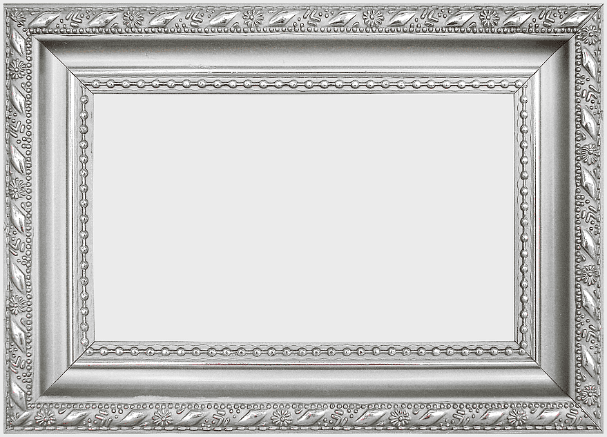 silver frame illustration, silver border frame, floral silver frame, rectangle silver frame, ornate silver border, decorative frame design, vintage frame pattern