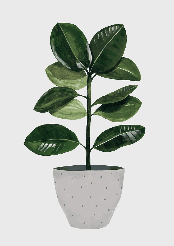watercolor plant illustration, hand-painted green leaves, indoor houseplant art, botanical watercolor painting, decorative leafy plant, artistic nature depiction, potted plant artwork watercolor plant illustration, hand-painted green leaves, indoor houseplant art, botanical watercolor painting, decorative leafy plant, artistic nature depiction, potted plant artwork