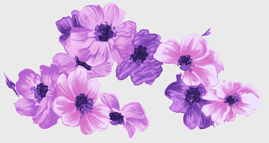 purple watercolor flower, dreamy purple blooms, fresh summer flowers, ornate floral decoration, delicate petal art, vibrant floral bouquet, nature's botanical beauty purple watercolor flower, dreamy purple blooms, fresh summer flowers, ornate floral decoration, delicate petal art, vibrant floral bouquet, nature's botanical beauty