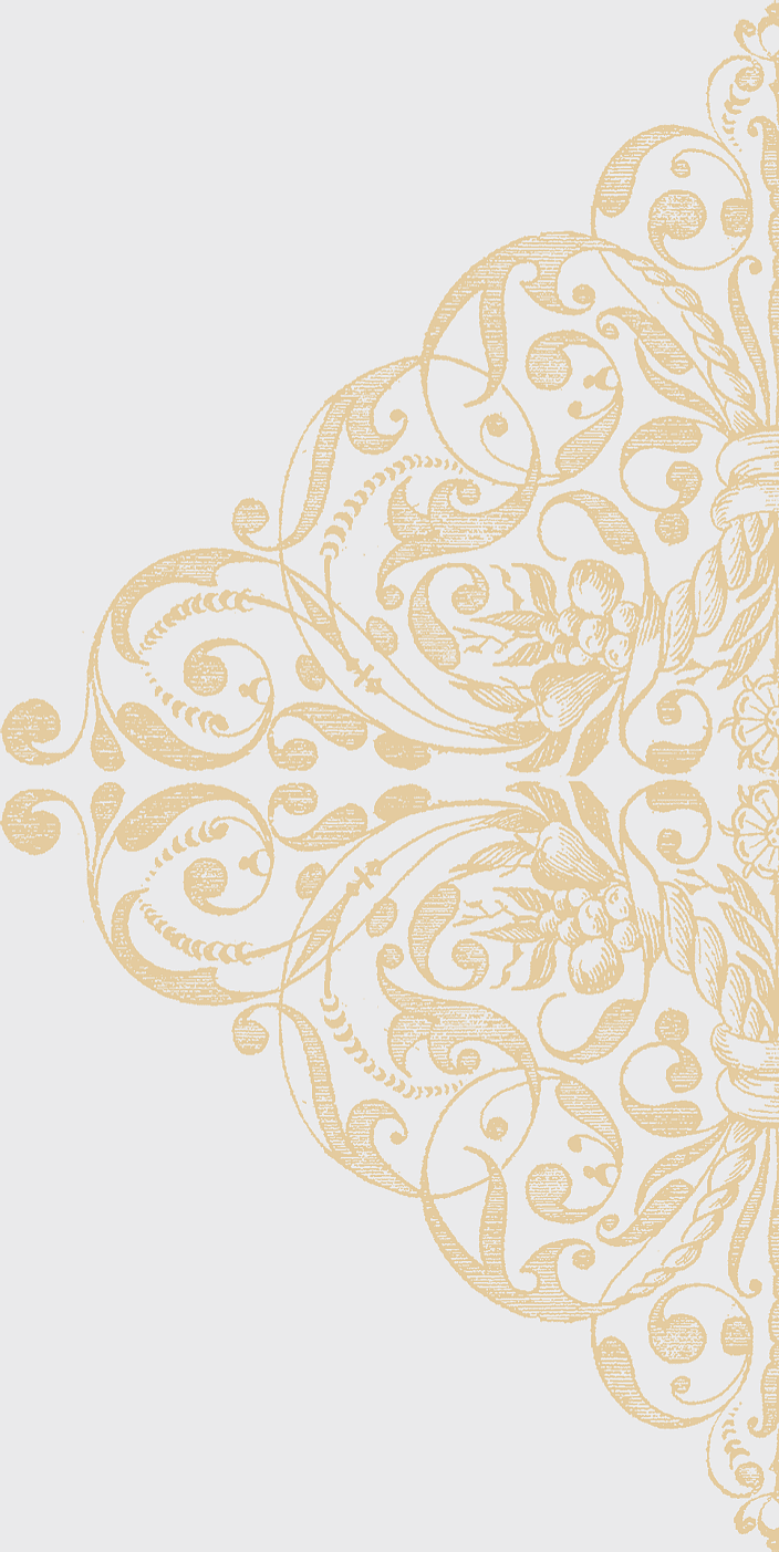 Gold lace texture Ornament, beige floral border decor, decorative Pattern, gold Border, vintage lace design, ornate floral motif, elegant decorative element