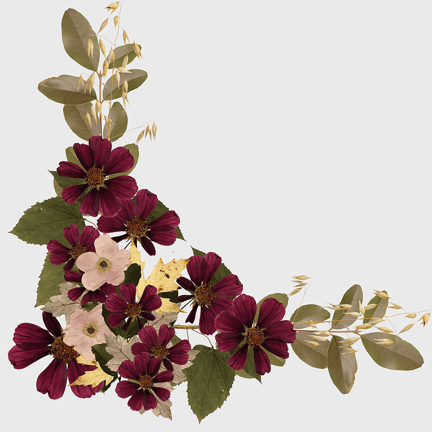 vintage corner flowers, floral corner design, petal arrangement, vintage bud illustration, botanical corner art, floral corner decoration, antique floral corner vintage corner flowers, floral corner design, petal arrangement, vintage bud illustration, botanical corner art, floral corner decoration, antique floral corner