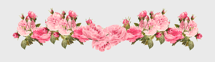 Pink Rose Border, vintage floral design, pink petaled roses, free content flowers, botanical illustration, romantic garden decor, pastel floral arrangement