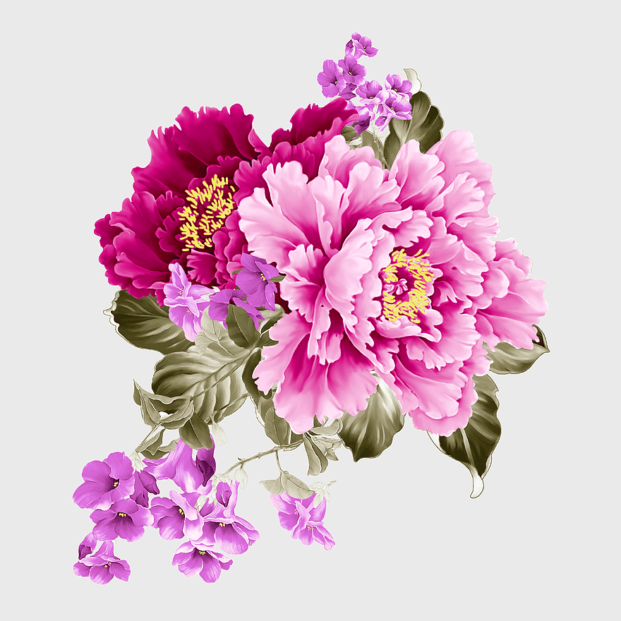 watercolor peony illustration, pink and purple floral design, spring herbaceous plant painting, watercolor flower bouquet, botanical art print, floral arrangement decor, magenta flower pattern watercolor peony illustration, pink and purple floral design, spring herbaceous plant painting, watercolor flower bouquet, botanical art print, floral arrangement decor, magenta flower pattern