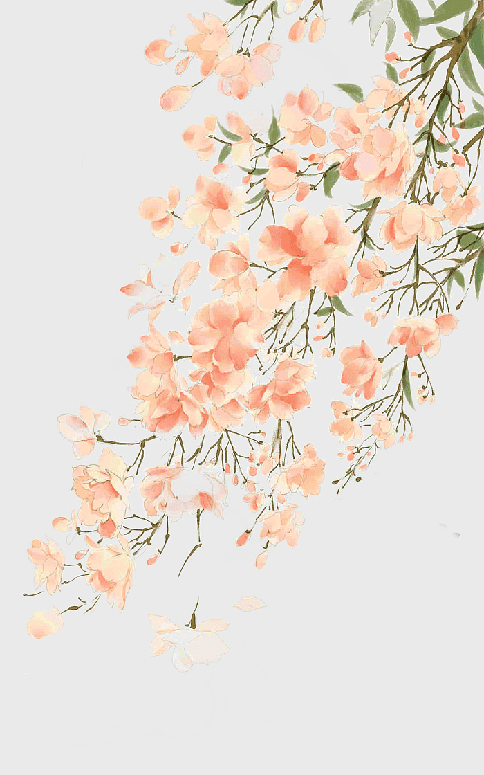 watercolor cherry blossoms, antique watercolor flowers, spring floral illustration, watercolor branch design, delicate floral art, traditional cherry blossom painting, vintage floral arrangement watercolor cherry blossoms, antique watercolor flowers, spring floral illustration, watercolor branch design, delicate floral art, traditional cherry blossom painting, vintage floral arrangement