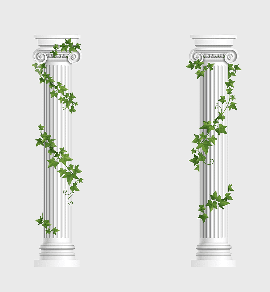 Ionic order columns, decorative pillars, green ivy decor, floral design elements, classical architecture details, ornamental column art, vintage pillar aesthetics Ionic order columns, decorative pillars, green ivy decor, floral design elements, classical architecture details, ornamental column art, vintage pillar aesthetics