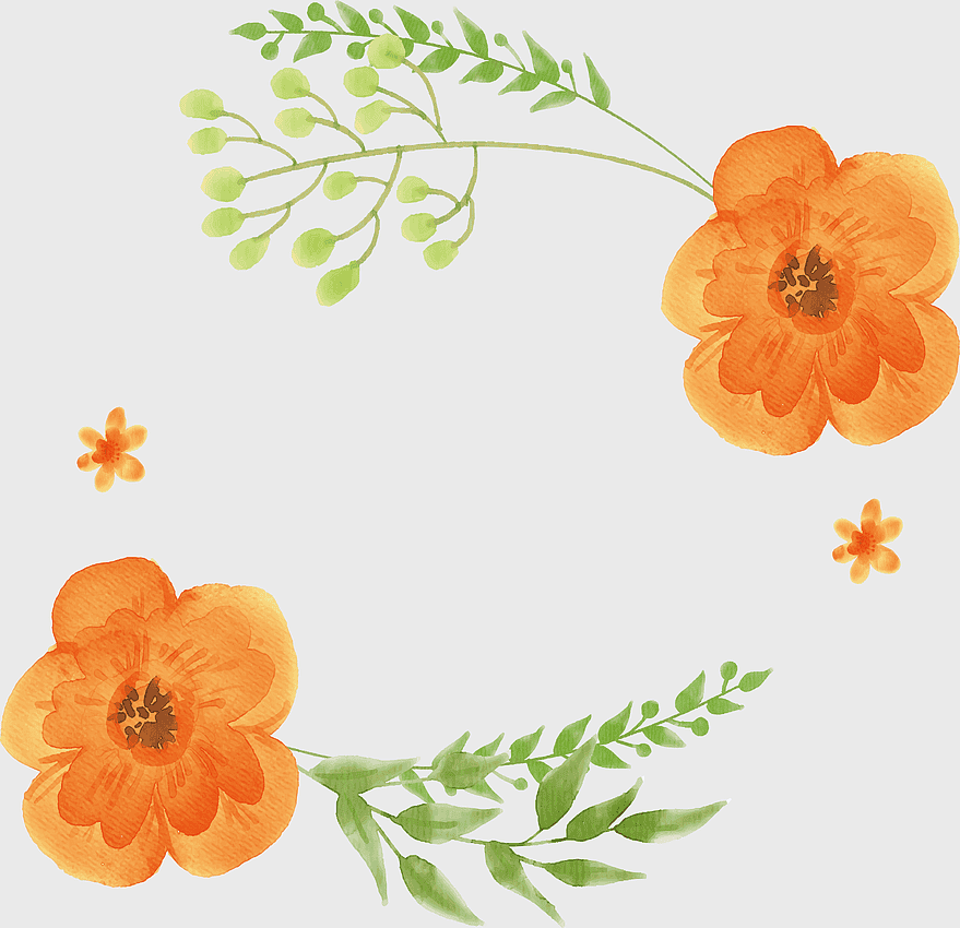 orange watercolor flowers, watercolor floral design, orange petal illustration, watercolor orange flower title, botanical watercolor art, floral watercolor painting, orange flower arrangement orange watercolor flowers, watercolor floral design, orange petal illustration, watercolor orange flower title, botanical watercolor art, floral watercolor painting, orange flower arrangement