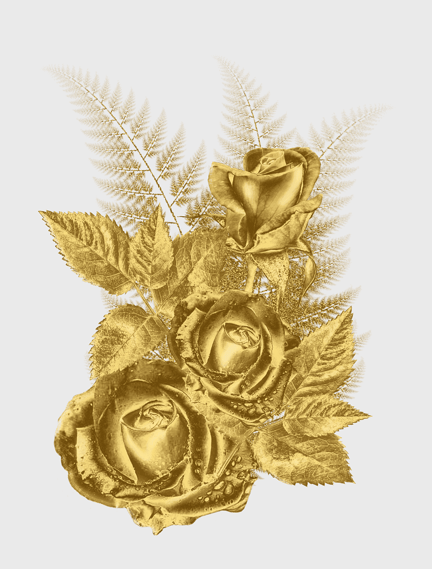 gold-dipped rose frame, brass flower border, yellow rose decoration, metallic floral design, elegant gold roses, vintage floral ornament, decorative golden blooms gold-dipped rose frame, brass flower border, yellow rose decoration, metallic floral design, elegant gold roses, vintage floral ornament, decorative golden blooms