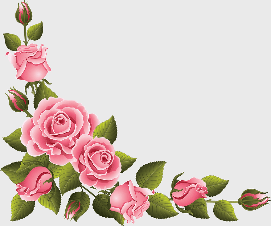 Vintage roses for home decor, pink rose floral design, garden rose varieties, rose petal arrangement, romantic flower illustration, classic botanical art, elegant floral element