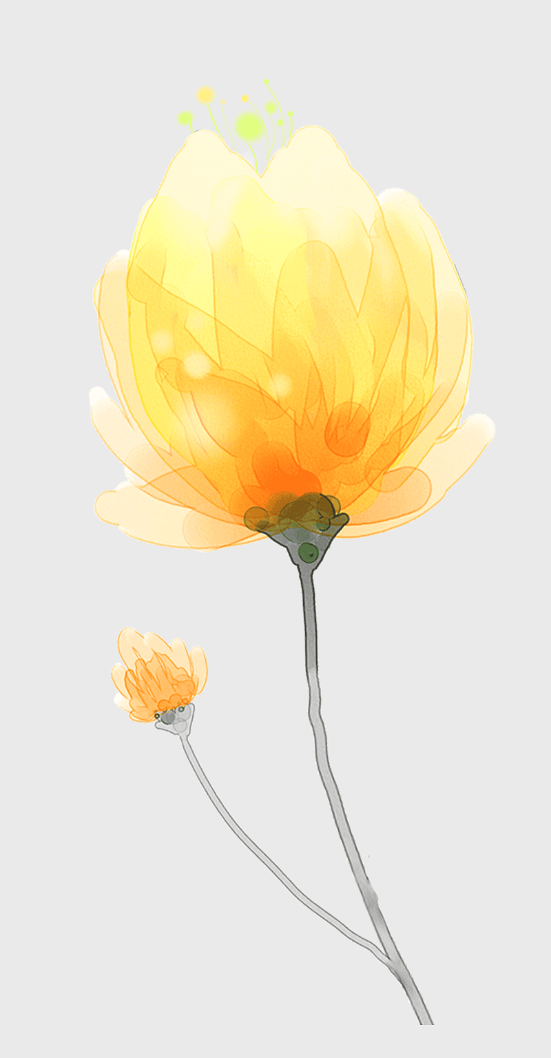 yellow watercolor flower, hand-painted yellow petals, decorative floral pattern, watercolor plant illustration, botanical art design, floral watercolor painting, nature-inspired art