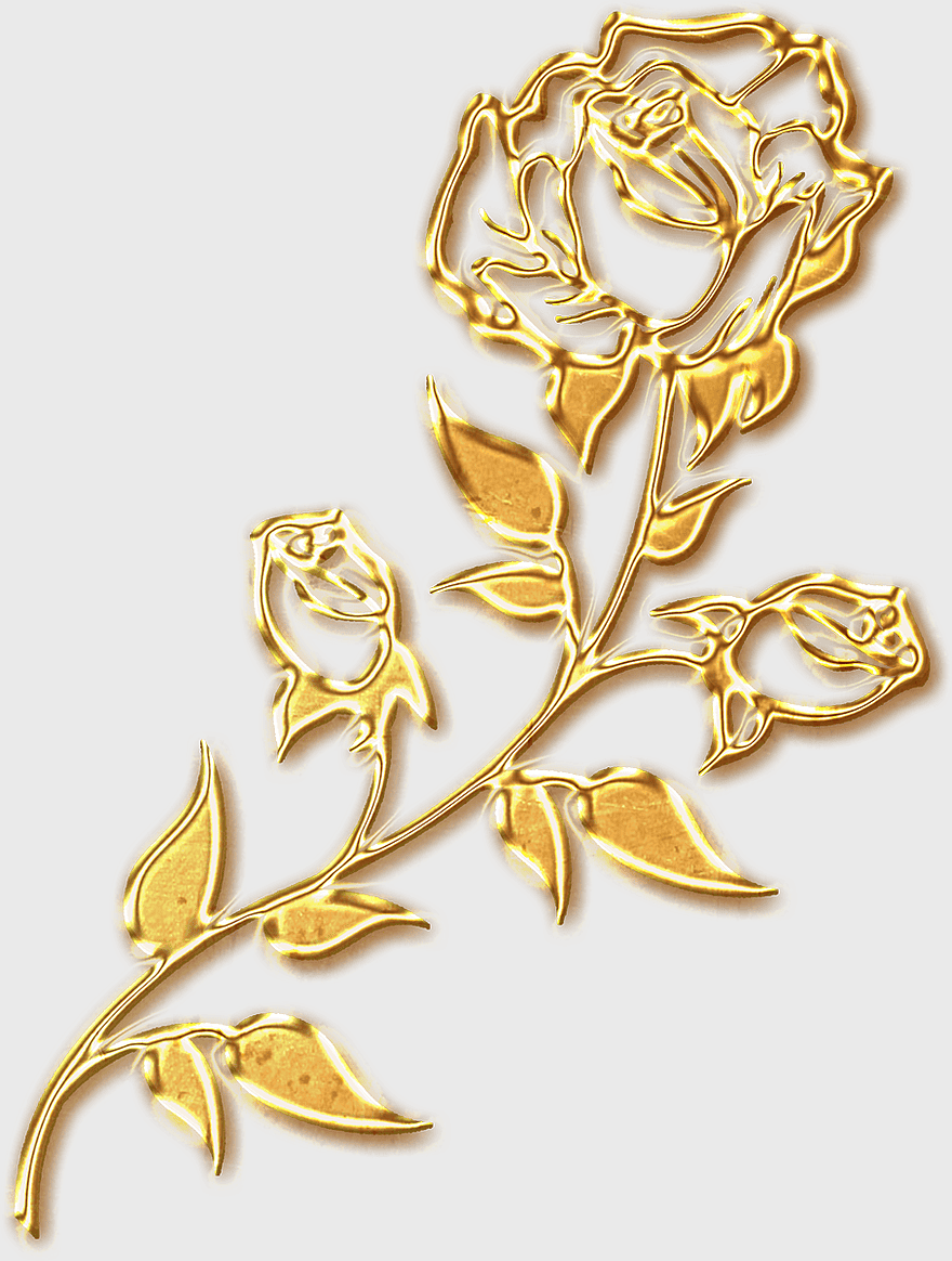 gold-colored rose illustration, golden roses silhouette, rose petal outline, gold party decoration, elegant floral design, luxurious metallic art, vintage jewelry motif gold-colored rose illustration, golden roses silhouette, rose petal outline, gold party decoration, elegant floral design, luxurious metallic art, vintage jewelry motif