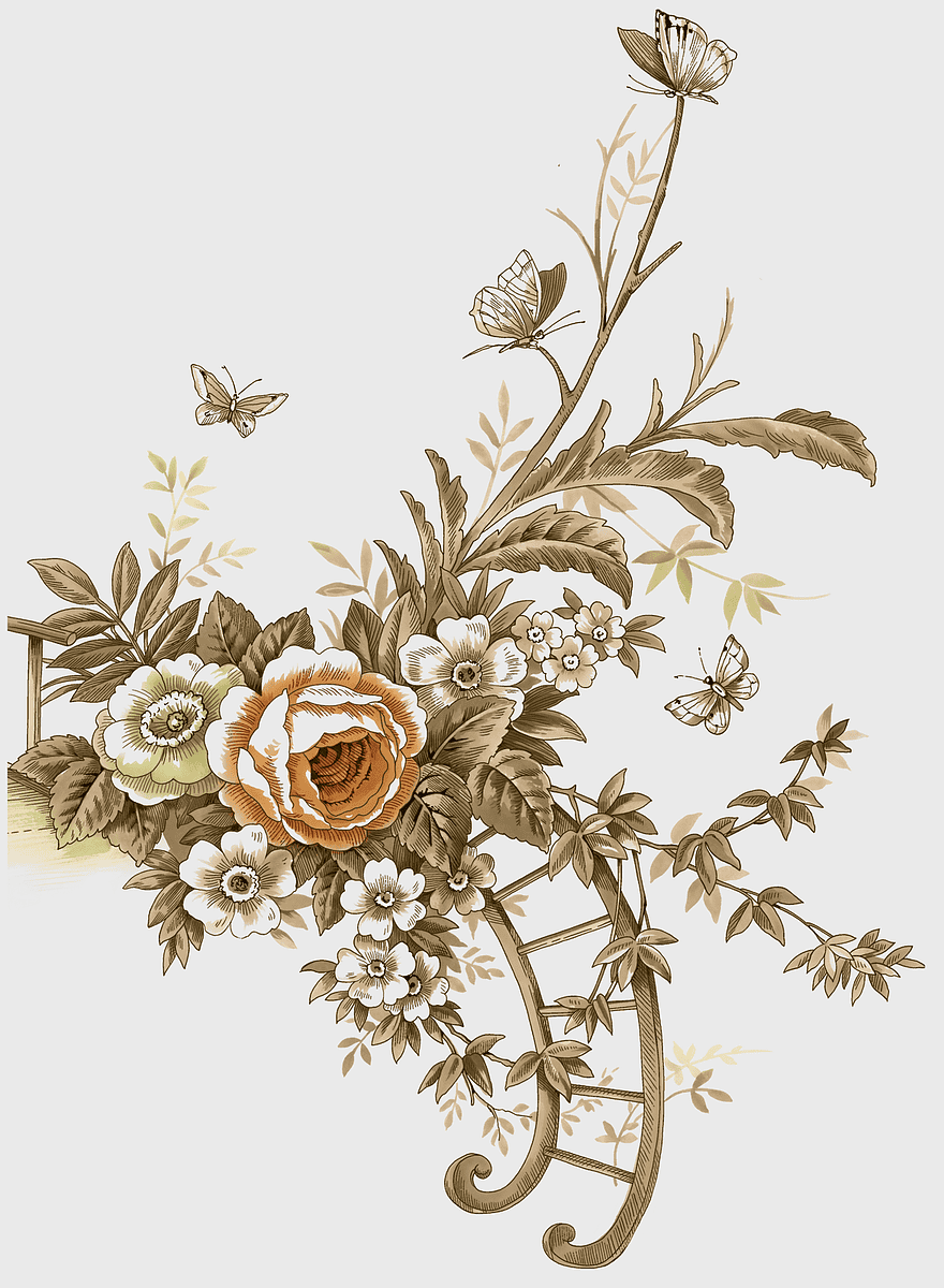 vintage flower arrangement, antique floral design, rose family plant, nature-inspired decor, botanical illustration art, classic garden elements, elegant floral motifs vintage flower arrangement, antique floral design, rose family plant, nature-inspired decor, botanical illustration art, classic garden elements, elegant floral motifs