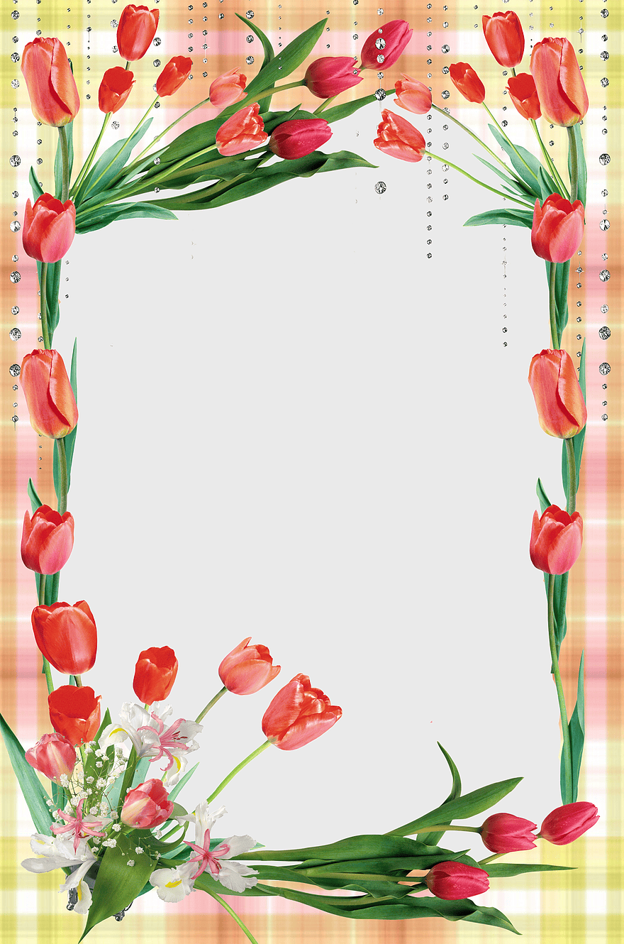 red tulip frame, flower arranging border, floral design frame, vintage frame illustration, spring floral border, decorative flower frame, elegant tulip border