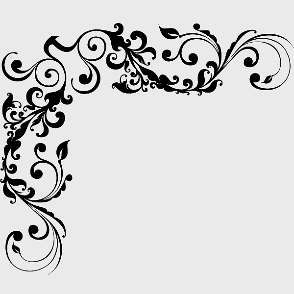 white floral ornament, arabesco line art, vintage black and white design, monochrome plant illustration, botanical line drawing, decorative leaf pattern, intricate floral motif white floral ornament, arabesco line art, vintage black and white design, monochrome plant illustration, botanical line drawing, decorative leaf pattern, intricate floral motif