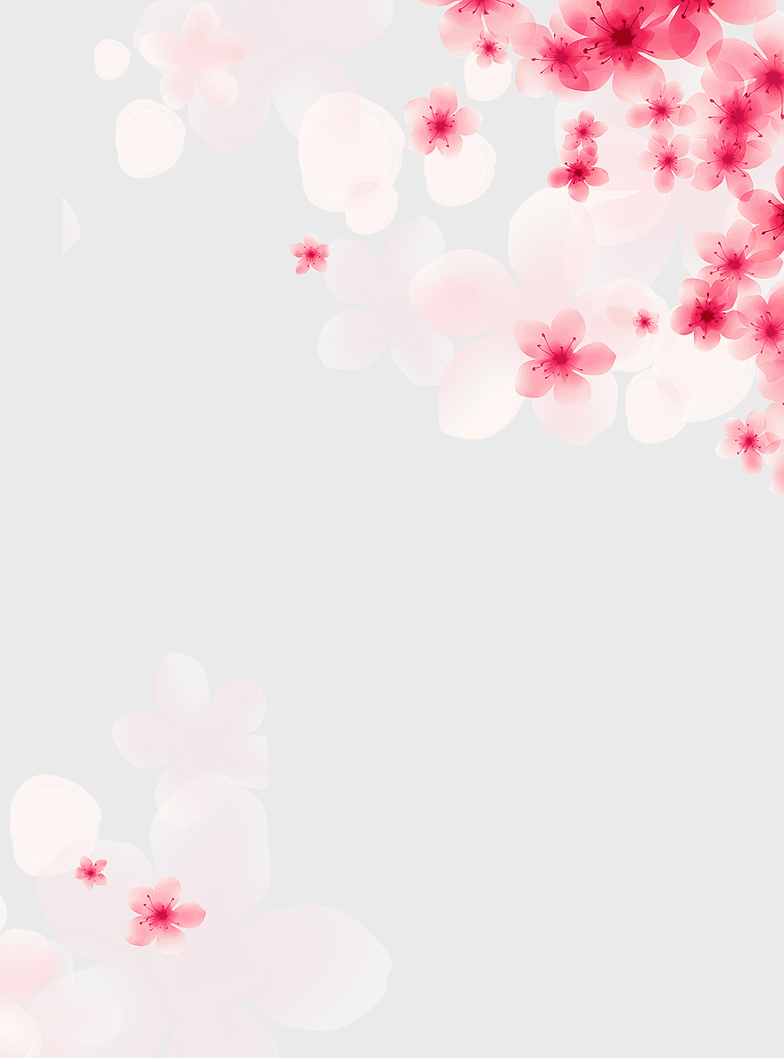 white and pink floral border, wedding floral design, magenta flower texture, vintage floral ornaments, cherry blossom decoration, romantic floral frame, spring wedding backdrop