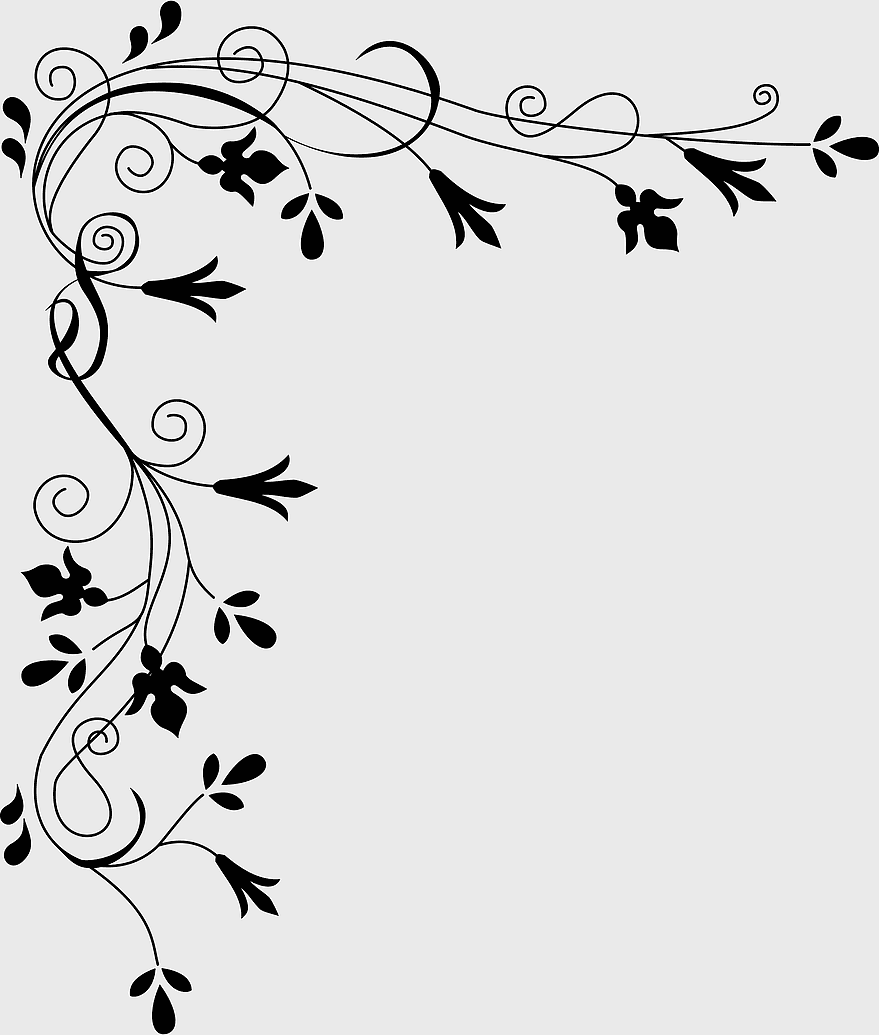 Corner Border, floral design, black and white art, monochrome drawing, decorative swirls, elegant vines, vintage ornamentation
