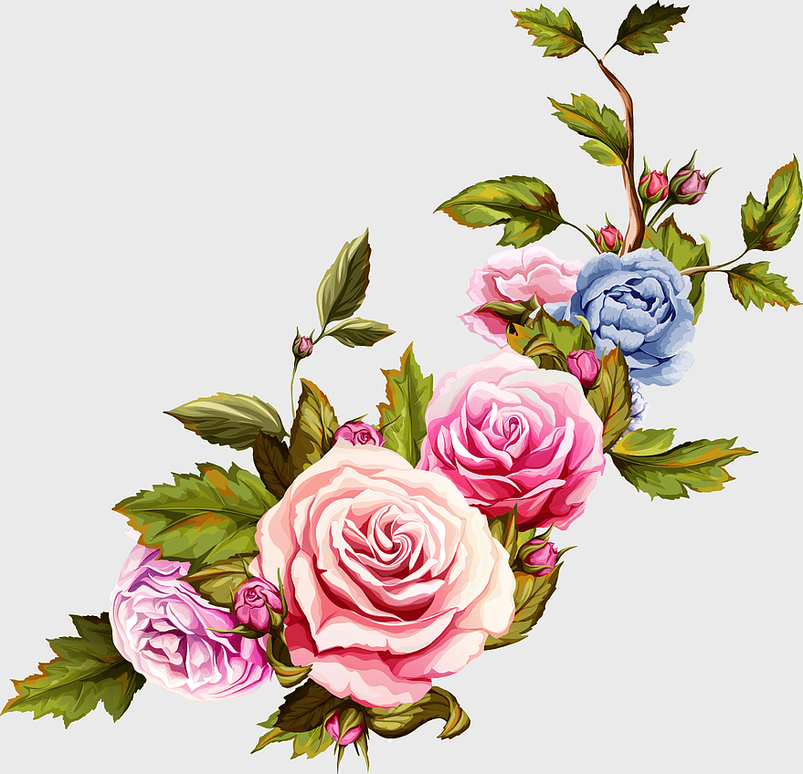 pink roses decorative elements, watercolor flower arrangement, floral design with pink blossoms, rose wreath art, botanical illustration, decorative floral illustration, garden rose display pink roses decorative elements, watercolor flower arrangement, floral design with pink blossoms, rose wreath art, botanical illustration, decorative floral illustration, garden rose display