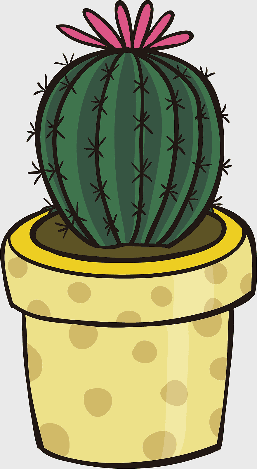 cactus plant illustration, watercolor cactus flower, potted cactus with thorns, cartoon cactus design, desert flora art, indoor succulent decor, botanical graphic element