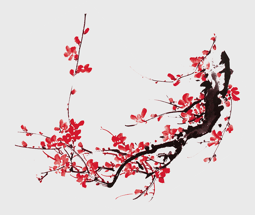 Chinese watercolor plum blossom, red petal art design, Chinese new year decoration, traditional Chinese painting, floral watercolor painting, artistic cherry blossom depiction, ornamental plant illustration