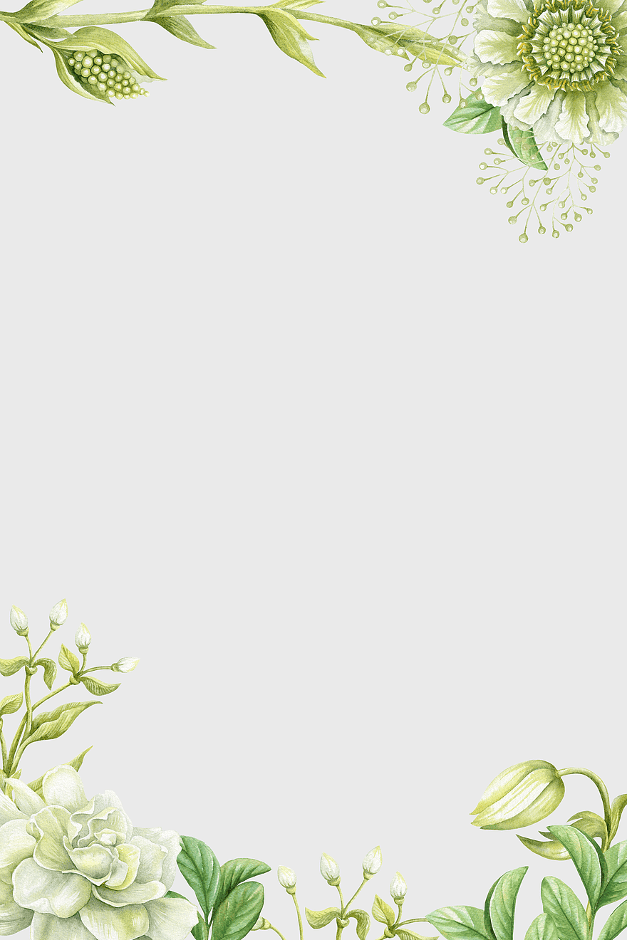 watercolor flower borders, green hand-painted floral design, white petal flower illustration, summer floral arrangement, botanical art, nature-inspired decor, greenery frame elements