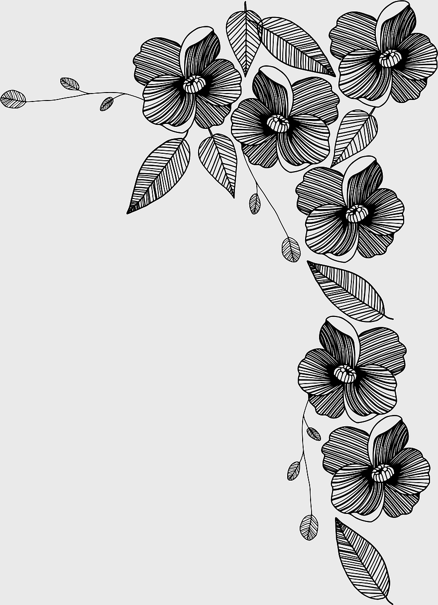 hand-painted black flowers, black floral illustration, ornate black flower design, plant decoration, vintage botanical art, elegant black and white floral, artistic black flower pattern hand-painted black flowers, black floral illustration, ornate black flower design, plant decoration, vintage botanical art, elegant black and white floral, artistic black flower pattern