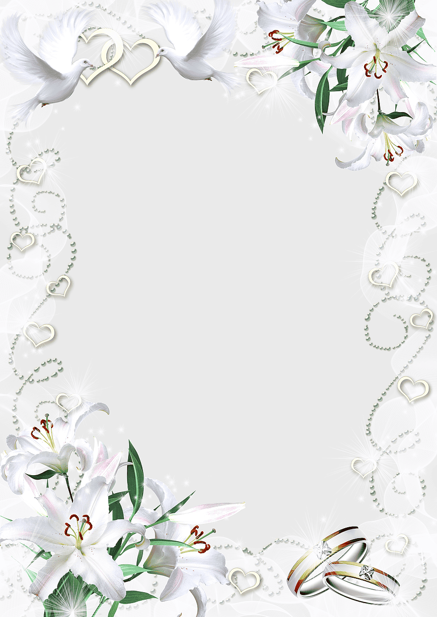 white flowers frame, silver ring border, floral design template, vintage mood frame, elegant wedding border, romantic floral arrangement, delicate lily decoration white flowers frame, silver ring border, floral design template, vintage mood frame, elegant wedding border, romantic floral arrangement, delicate lily decoration
