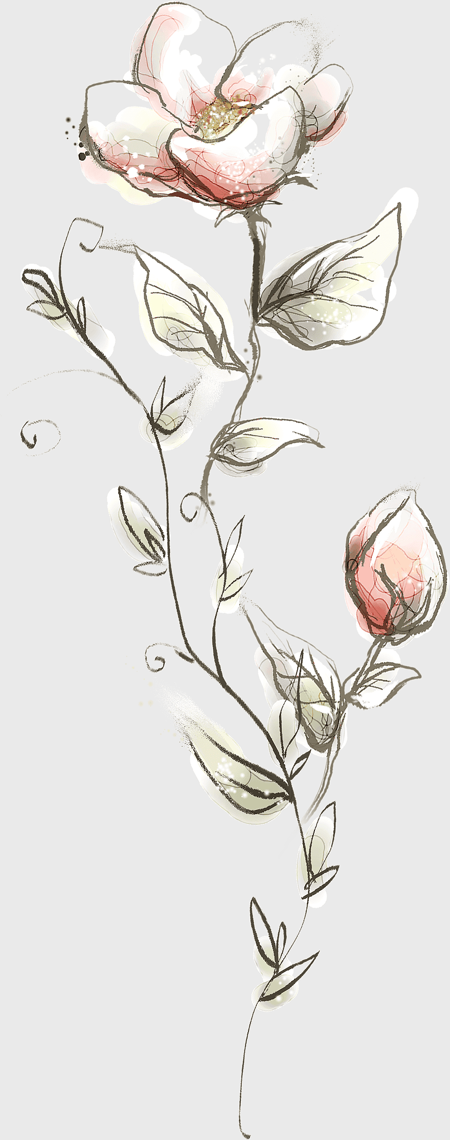 pink poppies illustration, floral design pattern, watercolor flower art, decorative flower patterns, botanical illustration, floral arrangement design, floral stem artistry pink poppies illustration, floral design pattern, watercolor flower art, decorative flower patterns, botanical illustration, floral arrangement design, floral stem artistry