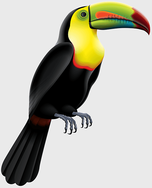 toucan bird silhouette, robotic bird art, toucan beak illustration, piciformes, tropical bird graphic, digital wildlife art, cartoon toucan design toucan bird silhouette, robotic bird art, toucan beak illustration, piciformes, tropical bird graphic, digital wildlife art, cartoon toucan design