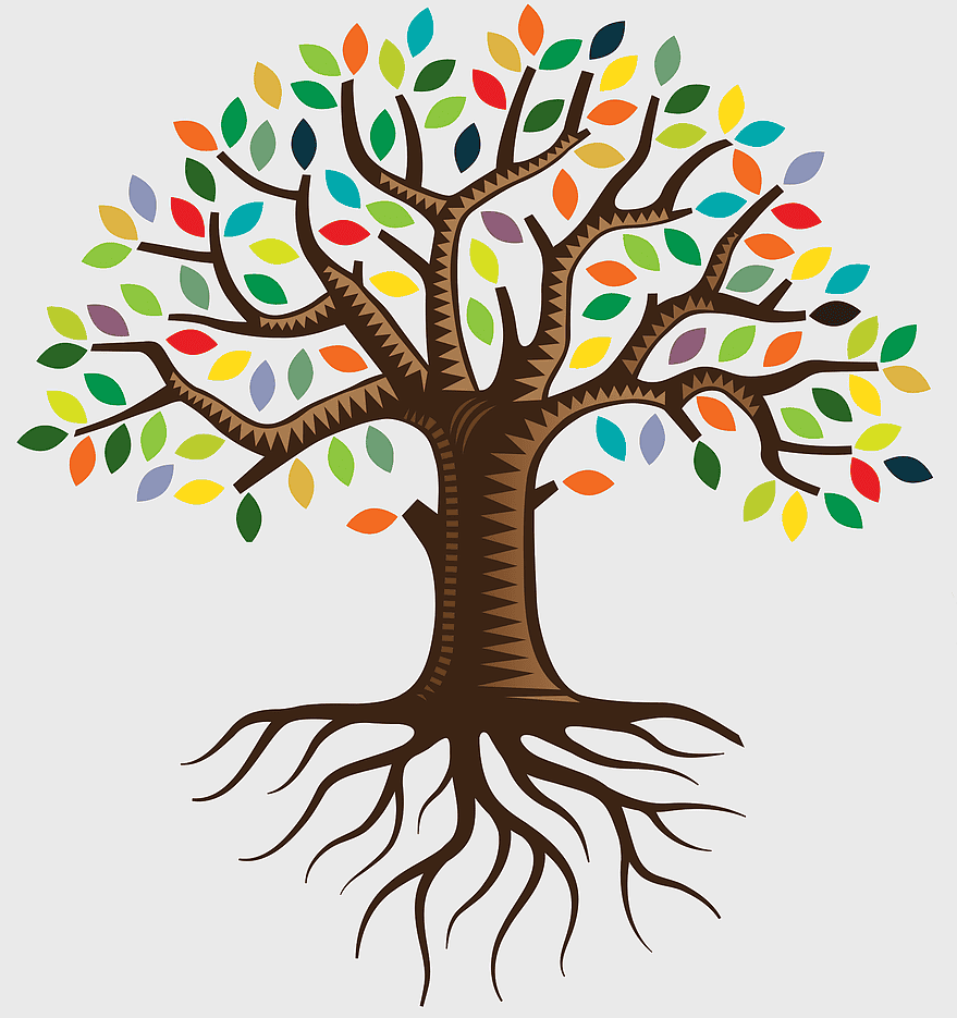 Root QC Family Tree Logo, colorful family tree illustration, plant stem artwork, nature-inspired genealogy icon, ancestral lineage symbol, heritage tree design, vibrant botanical graphic