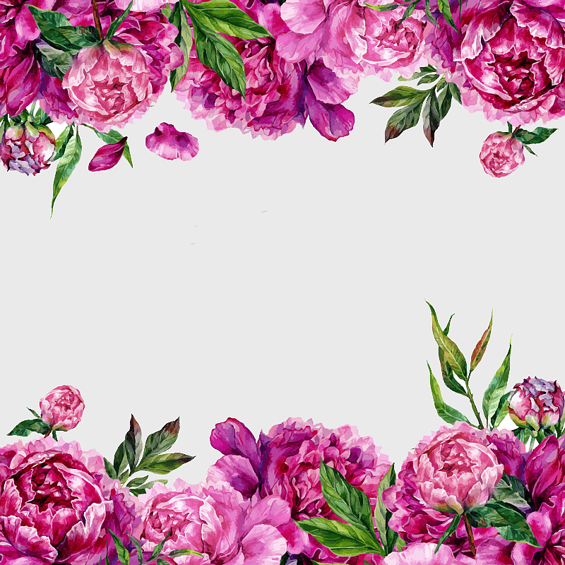 pink peony border, watercolor painting flowers, floral greeting card design, wedding invitation floral frame, elegant floral arrangement, vintage floral illustration, romantic flower border pink peony border, watercolor painting flowers, floral greeting card design, wedding invitation floral frame, elegant floral arrangement, vintage floral illustration, romantic flower border