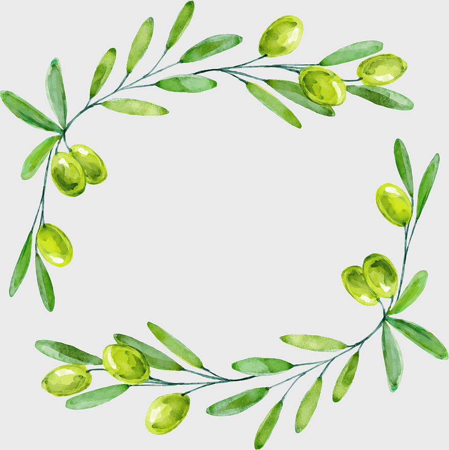 watercolor olive branch wreath, green olive decorative borders, olive leaf floral design, watercolor fruit painting, botanical greenery ring, nature-inspired circle border, hand-drawn olive art watercolor olive branch wreath, green olive decorative borders, olive leaf floral design, watercolor fruit painting, botanical greenery ring, nature-inspired circle border, hand-drawn olive art