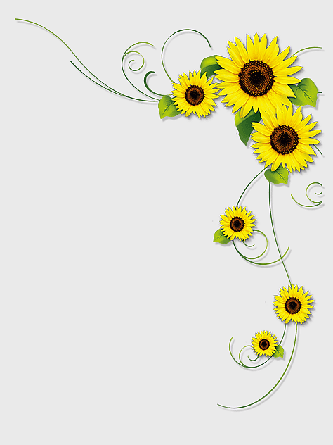 sunflower border design, watercolor sunflower illustration, sunflower floral arrangement, sunflower seed plant, sunflower decorative frame, yellow floral border, daisy family art