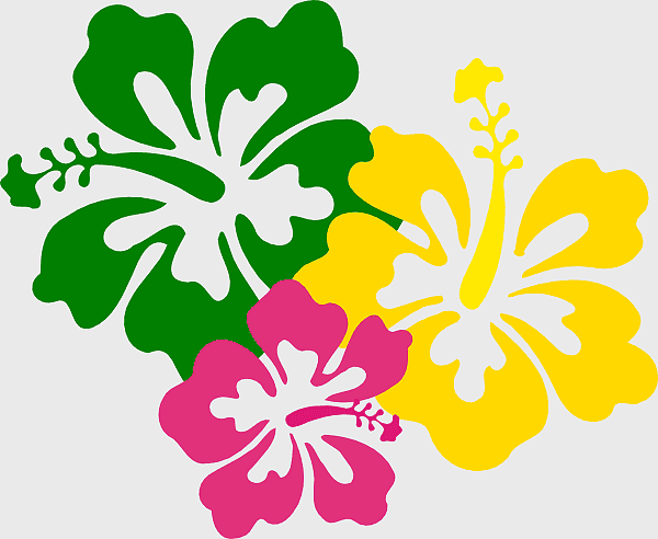 Hawaiian flower bar design, cartoon hibiscus illustration, malvales floral theme, hibiscus petals drawing, tropical green flora art, luau floral decor, colorful tropical plant graphics