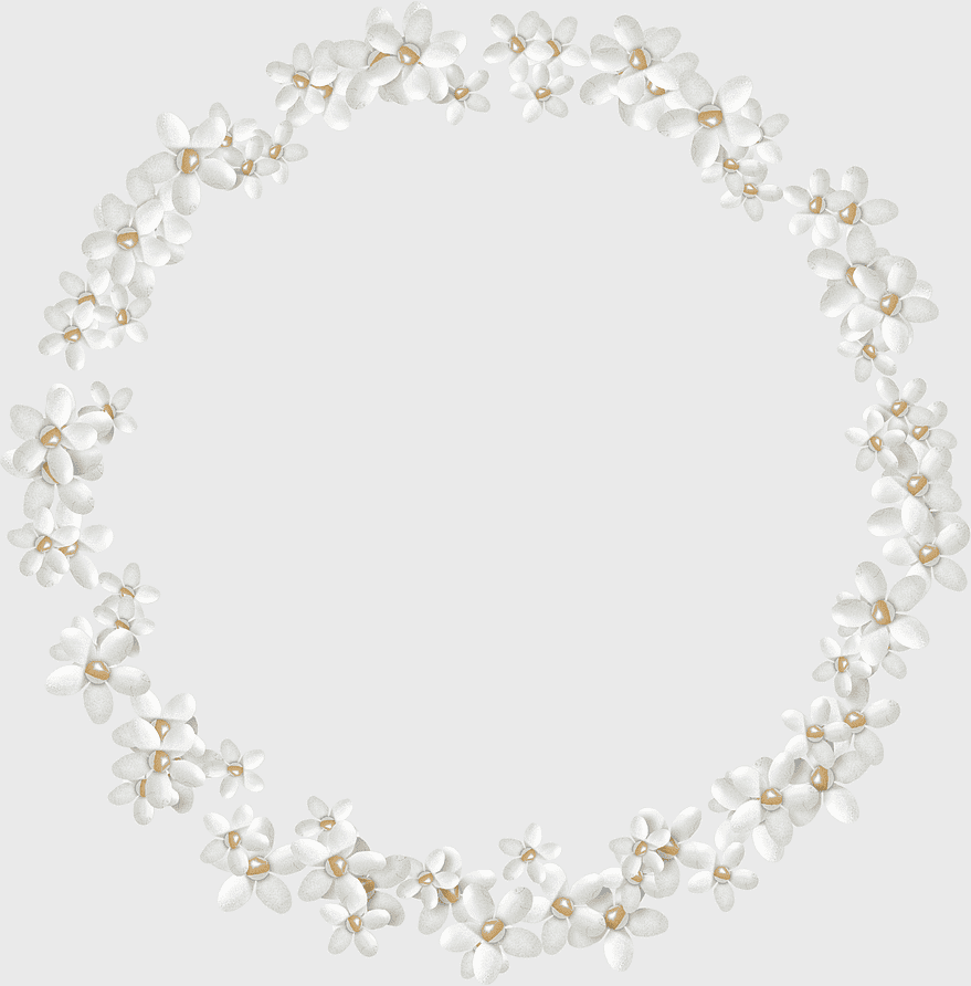white petaled flower wreath, white flowers circle pattern, wedding ceremony supply, watercolor flowers, floral design, decorative border, circular floral arrangement white petaled flower wreath, white flowers circle pattern, wedding ceremony supply, watercolor flowers, floral design, decorative border, circular floral arrangement