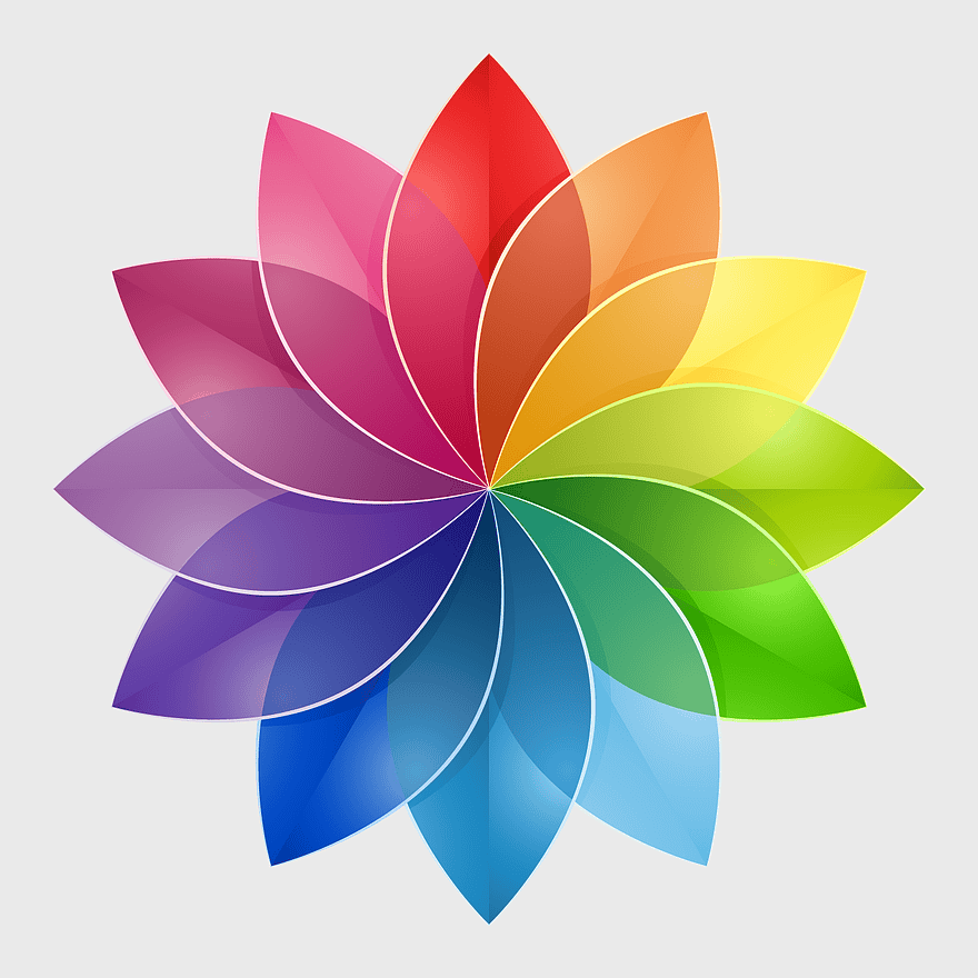 color wheel flower, interior design color theory, cmyk color palette, complementary color scheme, rainbow flower art, symmetrical color design, tertiary color spectrum color wheel flower, interior design color theory, cmyk color palette, complementary color scheme, rainbow flower art, symmetrical color design, tertiary color spectrum