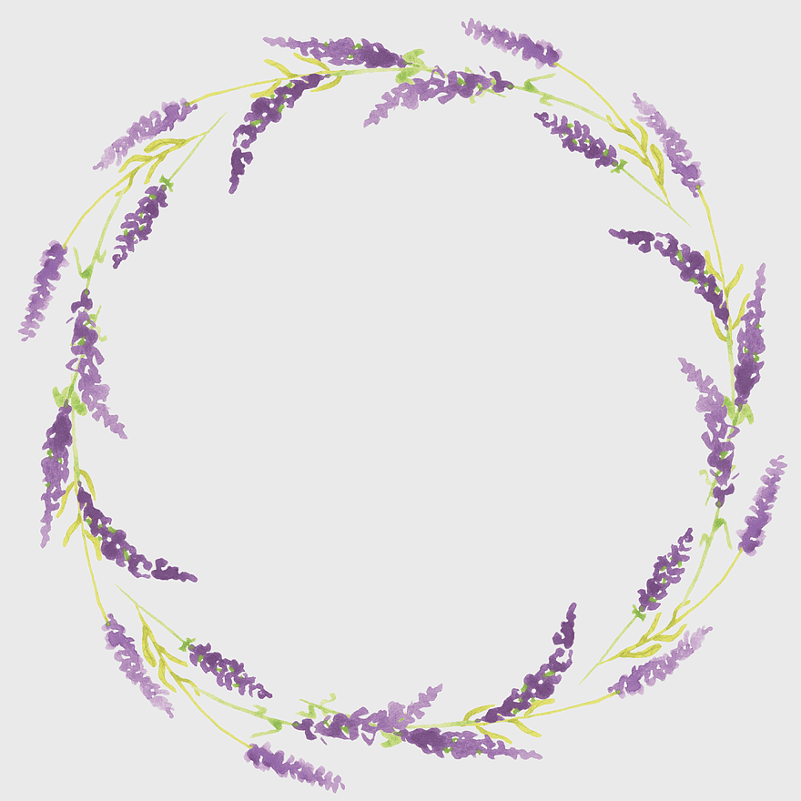purple lavender wreath, lavender circular ring frame, watercolor painting frame, violet floral border, lavender wreath design, circular floral decoration, purple botanical illustration purple lavender wreath, lavender circular ring frame, watercolor painting frame, violet floral border, lavender wreath design, circular floral decoration, purple botanical illustration