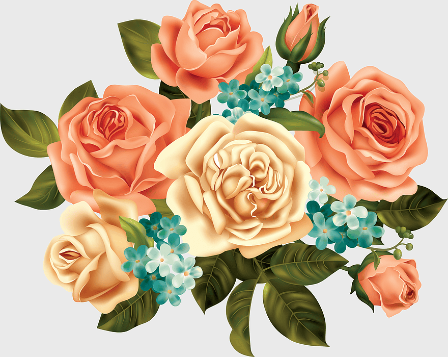 orange and white rose bouquet, vintage flower arrangement, peach rose floral design, garden roses bouquet, floral art illustration, romantic flower composition, elegant rose decoration orange and white rose bouquet, vintage flower arrangement, peach rose floral design, garden roses bouquet, floral art illustration, romantic flower composition, elegant rose decoration